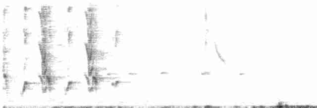 Perico Elegante (flaveolus) - ML612471406