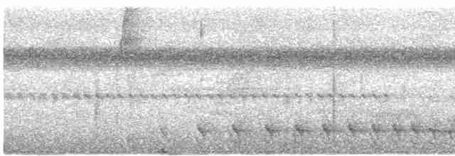 Bar-crested Antshrike - ML612471577