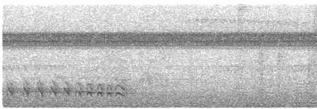Bar-crested Antshrike - ML612471578