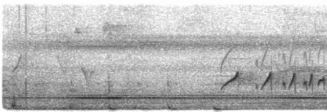 Тиран-крихітка темноголовий - ML612471664