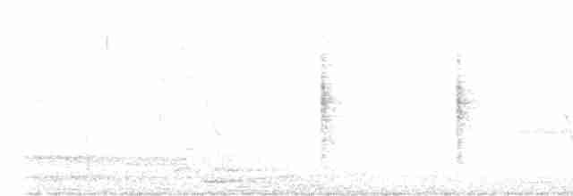 Benguet Bush Warbler - ML612472112