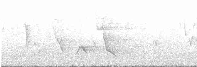 Зернолуск золотодзьобий - ML612472753