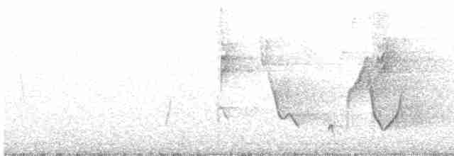 Зернолуск золотодзьобий - ML612472754