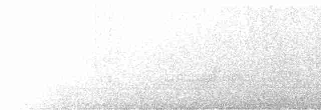 Горихвістка водяна - ML612476527