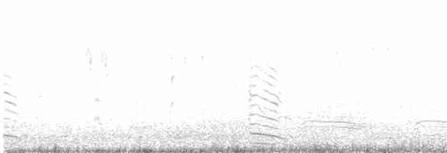 アルメニアセグロカモメ - ML612477523