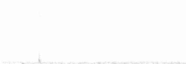 Щеврик пампасовий - ML612479821