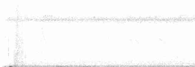 Saipan Reed Warbler - ML612480408