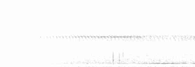 Spotted Nightjar - ML612480664