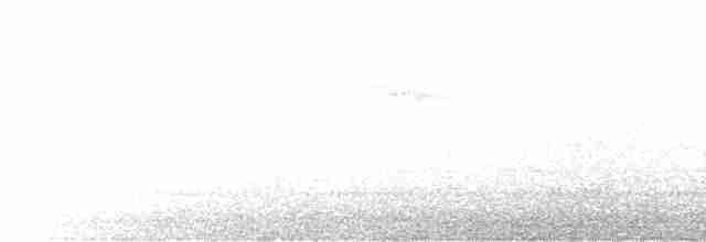 Горихвістка водяна - ML612482400