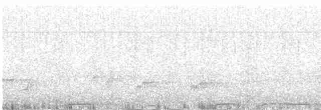 holub slézovoprsý - ML612483500