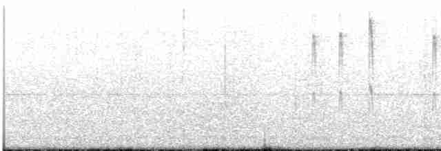 White-crested Tyrannulet - ML612485260