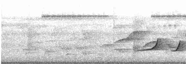 Mangrove Whistler - ML612489261
