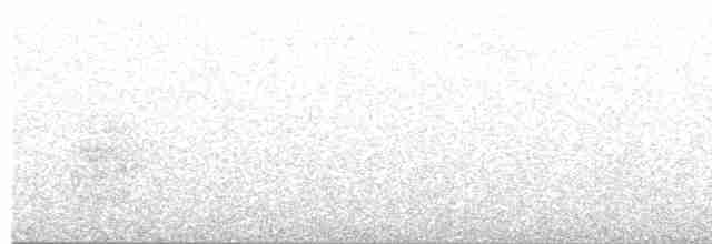 Красноклювый амазонет - ML612489785