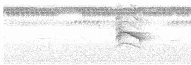 Медногрудая нектарница - ML612492104