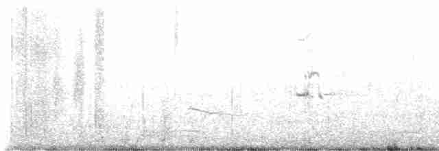 Flötenregenpfeifer - ML612492504