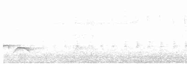 Kara Gagalı Koca Vireo - ML612493241