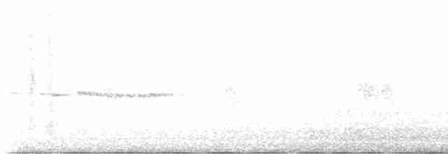 Ріроріро сірий - ML612495935