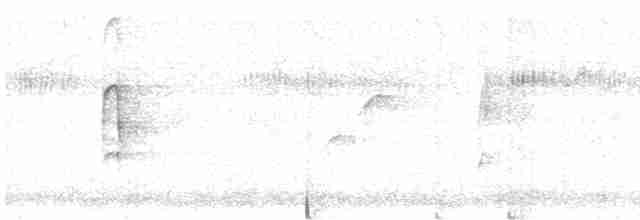 strakapoud hnědokřídlý - ML612497845