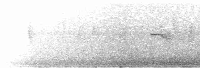 Тиран-малюк омеловий - ML612498199