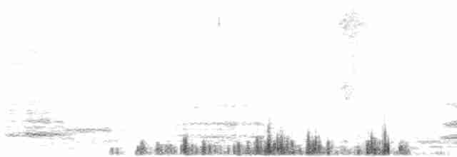 Тасманийский ворон - ML612498427