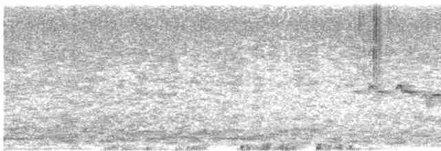 Скрытный ложнокрапивник - ML612499111