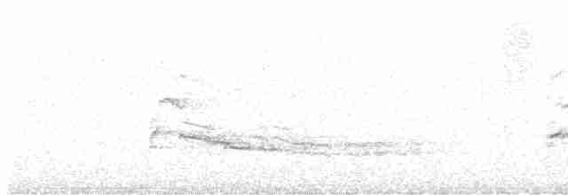 káně rudochvostá (ssp. kriderii) - ML612501374