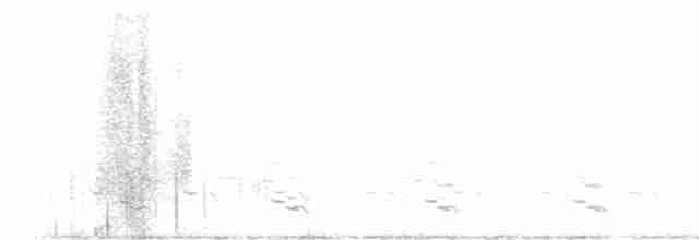 orlík krátkoprstý - ML612502328