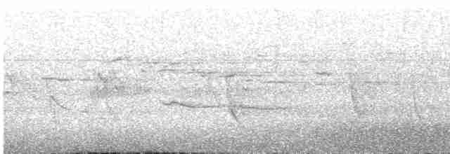 Russet-tailed Thrush - ML612505316