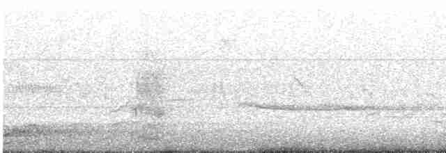 Russet-tailed Thrush - ML612505317