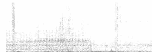 Spotless Crake - ML612512794