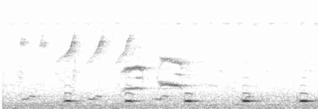 Al Göğüslü Barbet (indicus/delicus) - ML612513382