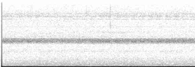 Пенелопа рудобока - ML612515793