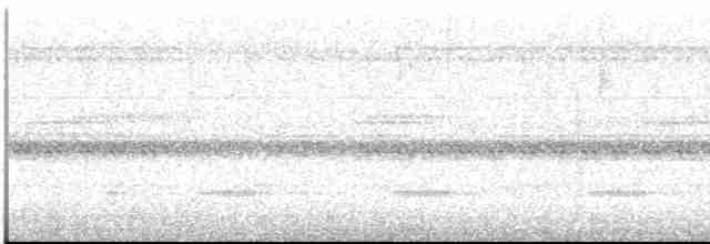 Пенелопа рудобока - ML612515794