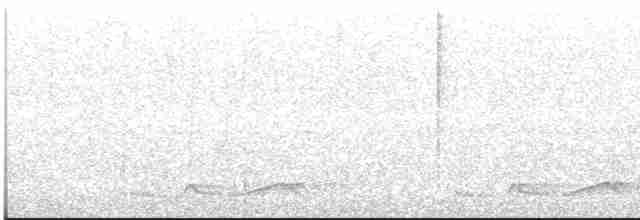 Seidennachtschwalbe - ML612515944