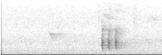 Plush-crested Jay - ML612515952