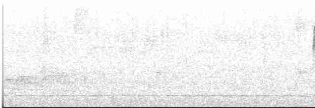 Anabate de Lichtenstein - ML612516228