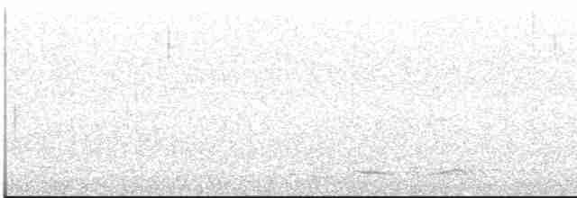 Seidennachtschwalbe - ML612516237