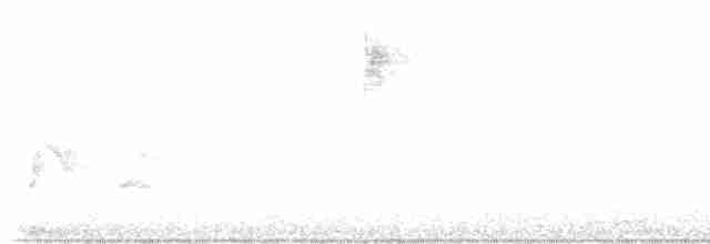 drozdec černohlavý - ML612517160