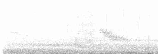 Vireo Ojiblanco - ML612517254