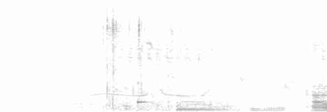 gråpannegrønndue - ML612517432