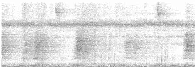 Boz Kanatlı Borazankuşu - ML612517612