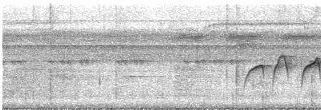 Ockerflecken-Ameisenwächter - ML612517615