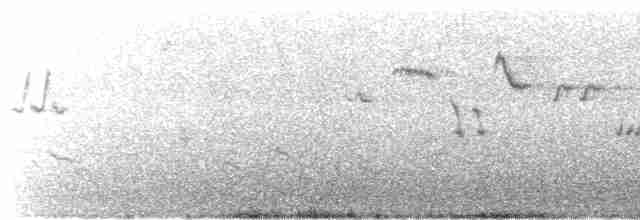 Plumbeous Redstart - ML612517664