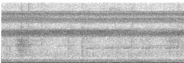 Tinamou à gorge blanche - ML612518000