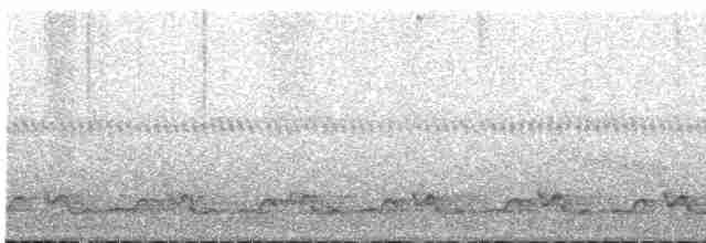 svartbrysttannvaktel - ML612520231