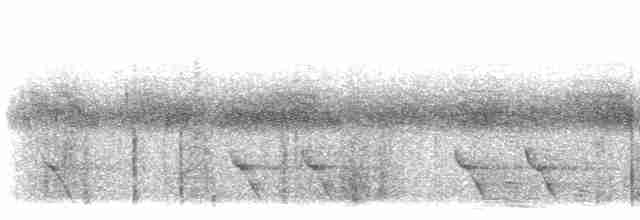 Plush-crested Jay - ML612520233