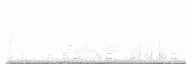 husa běločelá - ML612522036