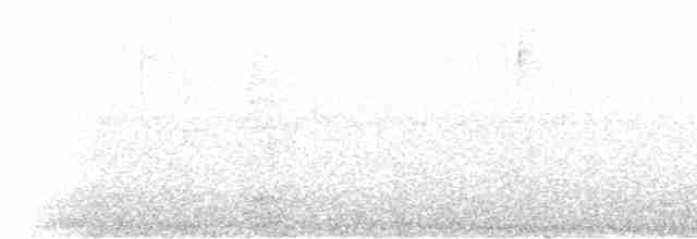 Russet-crowned Crake - ML612522235