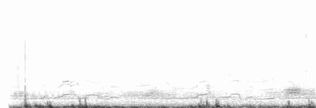 Плосконосый плавунчик - ML612522462