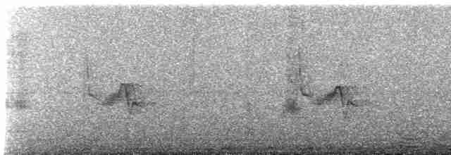 Vireo de Hutton (grupo stephensi) - ML612522486